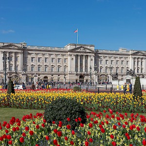 The eastern faÃ§ade of Buckingham Palace and the Victoria Memorial (Photo by Diliff)