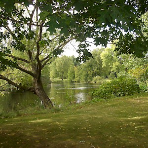 The gardens of Buckingham Palace (Photo by Northmetpit)