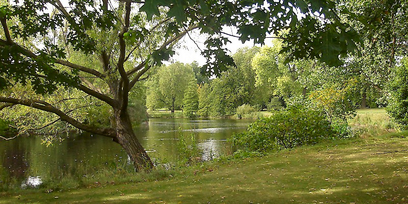 The gardens of Buckingham Palace (Photo by Northmetpit)