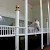 A royal horse in the stables at the Royal Mews of Buckingham Palace, Royal Mews, London (Photo by Laika ac)