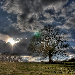 The lovely Hampstead Heath in North London (Photo by Olivier)