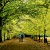 A walk on Hampstead Heath, Hampstead Heath, London (Photo by Garry Knight)