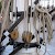 The main mast and ropes on the Cutty Sark, Cutty Sark, London (Photo by felibrilu)