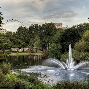 A fountain in St. James's Park with the London Eye in the background (Photo by Neil Howard)