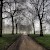 Green Park in the fog, Green Park, London (Photo by Neil Howard)