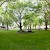 The quad at Prince's Gardens dorm, Prince's Gardens, London (Photo courtesy of the Imperial College London)