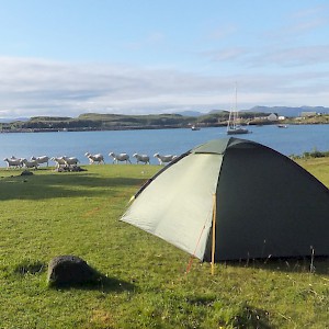 Sheep wander by an idyllic campsite on the Isle of Eigg, Scotland (Photo by Surprise Truck)