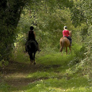 Riding along a bridle path in Cheshire, England (Photo by Terry Kearney)