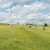 West Kennet Avenue facing north-west towards Avebury, West Kennet Avenue, Salisbury and Stonehenge (Photo by DAVID ILIFF. License: CC-BY-SA 3.0)