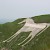 Whiter sectors on the horse are usually covering up graffiti (in this case, "Stop This War" against the Iraq War in 2003), Westbury white horse, Salisbury and Stonehenge (Photo by P Smith)