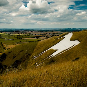 The Westbury White Horse (Photo by Sam Walpole)