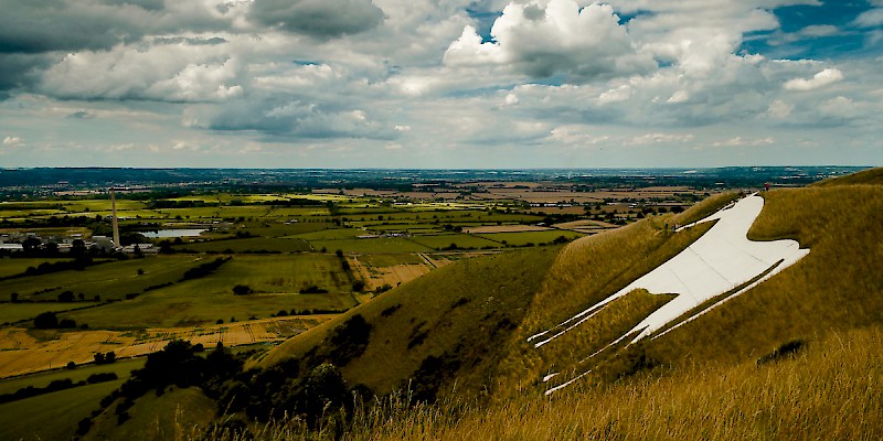 The Westbury White Horse (Photo by Sam Walpole)