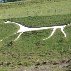 The horse (Photo courtesy of Visit Wiltshire)